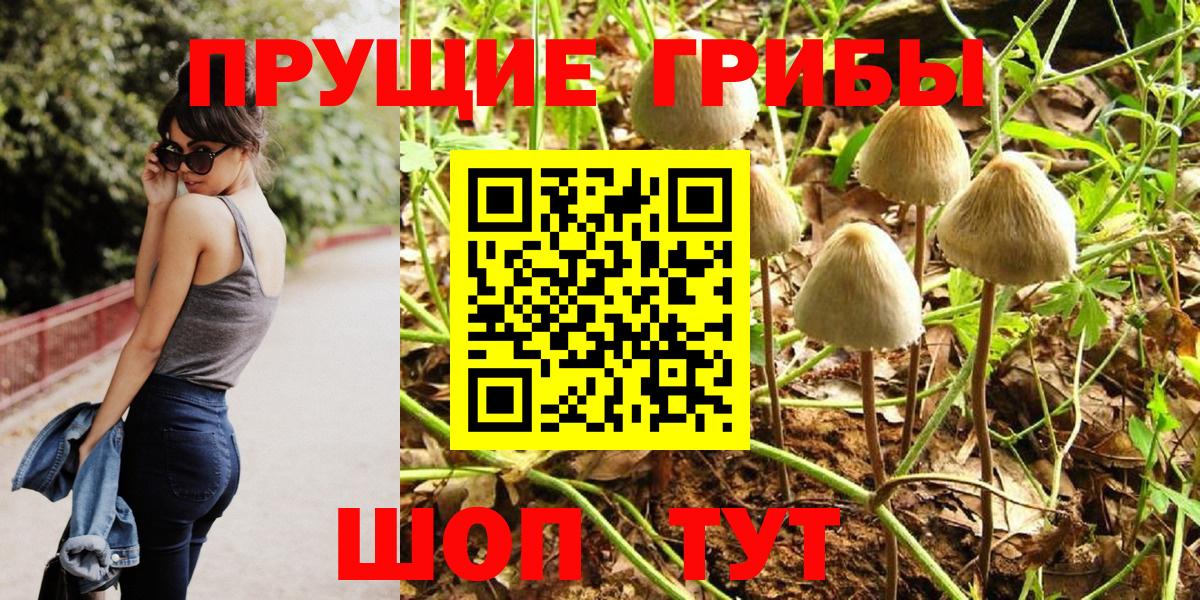Боровичи  Галлюциногенные грибы прущие грибы  Вход с VPN 